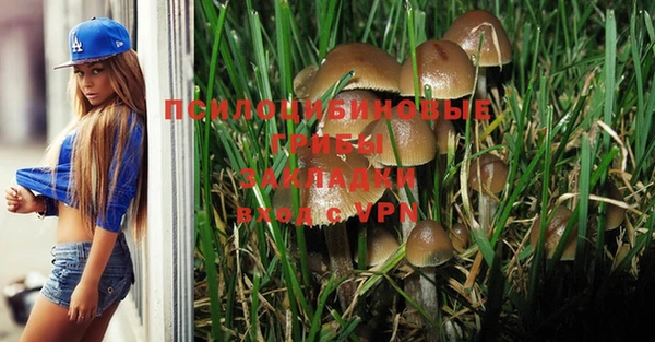 MDMA Алексеевка