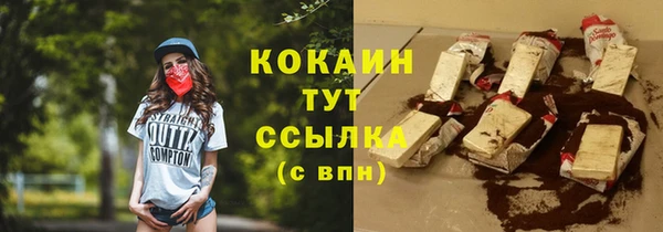 соль ск Алексин