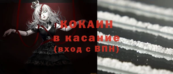 соль ск Алексин