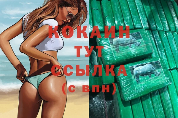 гашик Алзамай