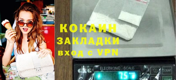 соль ск Алексин